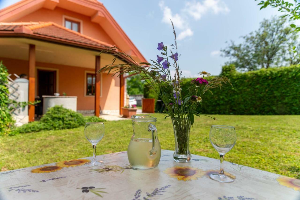Planinca -Hisa Z Razgledom Apartment Smarje pri Jelsah ภายนอก รูปภาพ